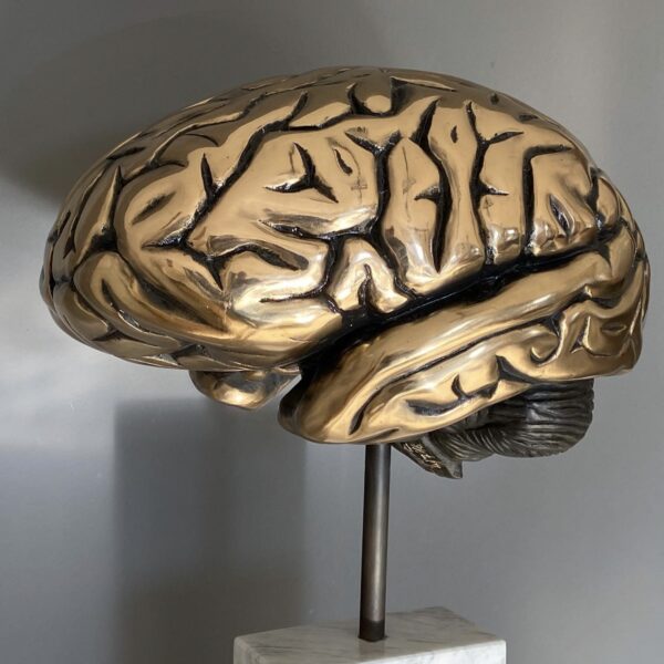 Limitierte Bronze Skulptur Gehirn