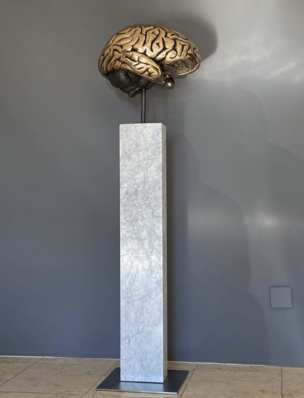 Limitierte Bronze Skulptur Gehirn auf Sockel